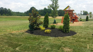 landscaping services 