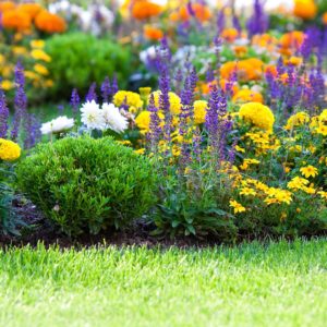 Lawn And Landscape Solutions For The, Lawn And Landscape Solutions