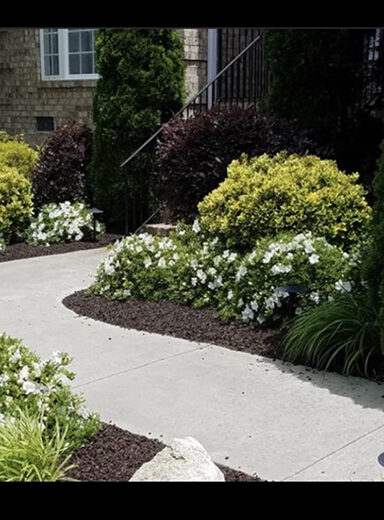 Landscape Solutions Mulch and Pine Needles