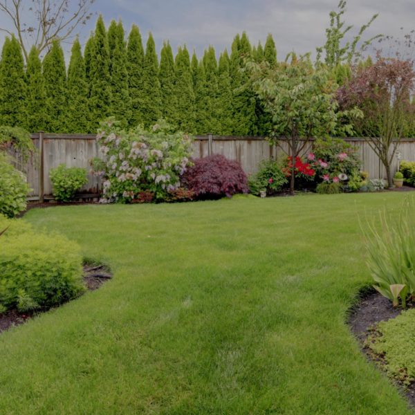 For the Best Landscaping Services Near Me Call Landscape ...