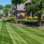 Landscape-Maintenance-Plans-Keep-Your-Property-Picture-Perfect-Year-Round