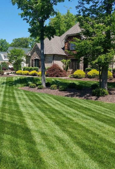 Landscape-Maintenance-Plans-Keep-Your-Property-Picture-Perfect-Year-Round
