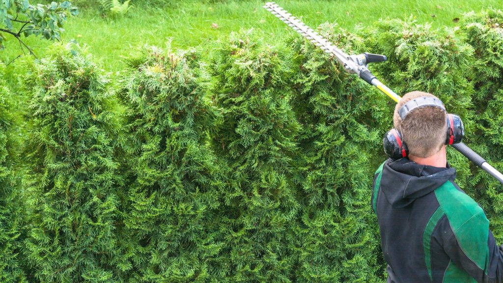 Pruning-and-Edging