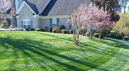 Beautifully trimmed lawn.
