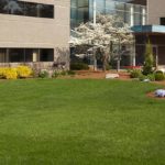 commercial landscapers near me