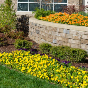winston salem and greensboro commercial landscaping services