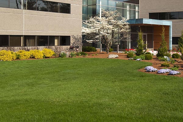 commercial landscaping high point
